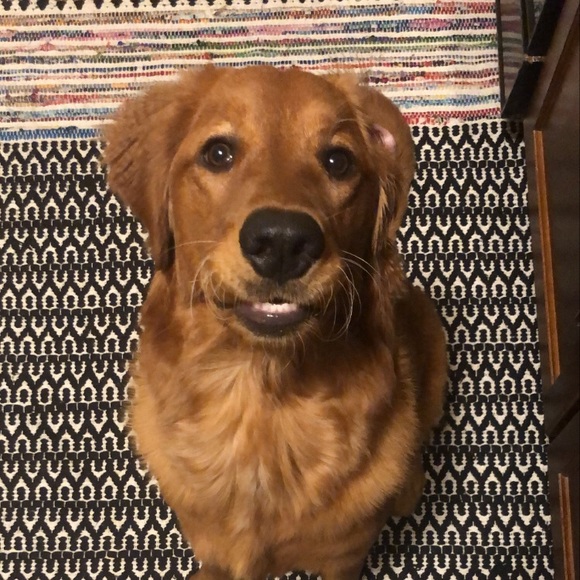 Meet your Posher, Amy - Picture 1 of 1